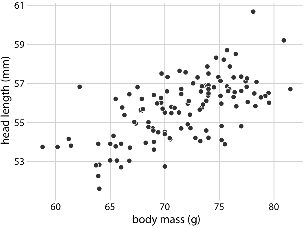 Head length (measured from the tip of the bill to the back of the head, in mm) versus body mass (in gram), for 123 blue jays. Each dot corresponds to one bird. There is a moderate tendency for heavier birds to have longer heads. Data source: Keith Tarvin, Oberlin College