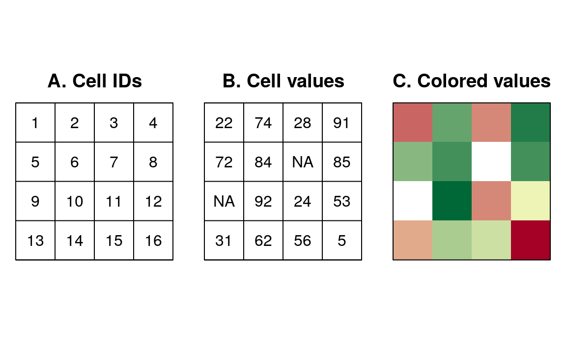 Raster data types: (A) cell IDs, (B) cell values, (C) a colored raster map.