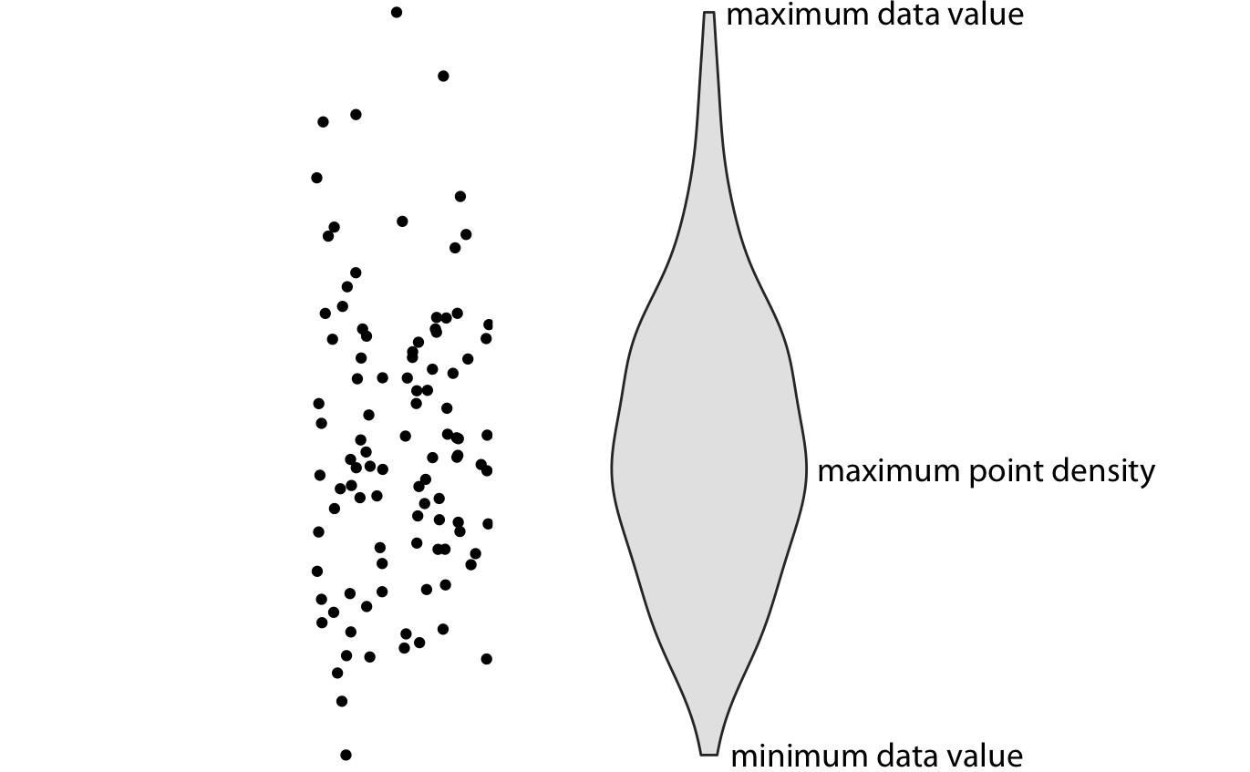 Anatomy of a violin plot. Shown are a cloud of points (left) and the corresponding violin plot (right). Only the y values of the points are visualized in the violin plot. The width of the violin at a given y value represents the point density at that y value. Technically, a violin plot is a density estimate rotated by 90 degrees and then mirrored. Violins are therefore symmetric. Violins begin and end at the minimum and maximum data values, respectively. The thickest part of the violin corresponds to the highest point density in the dataset.